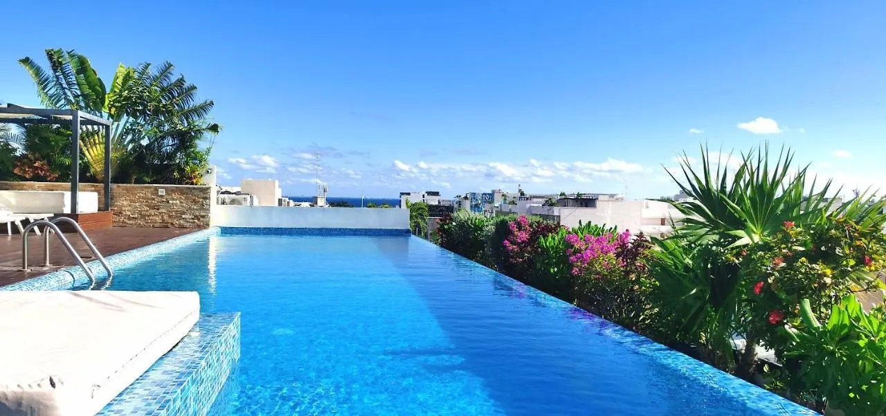 The City Condos Playa Del Carmen Apartment